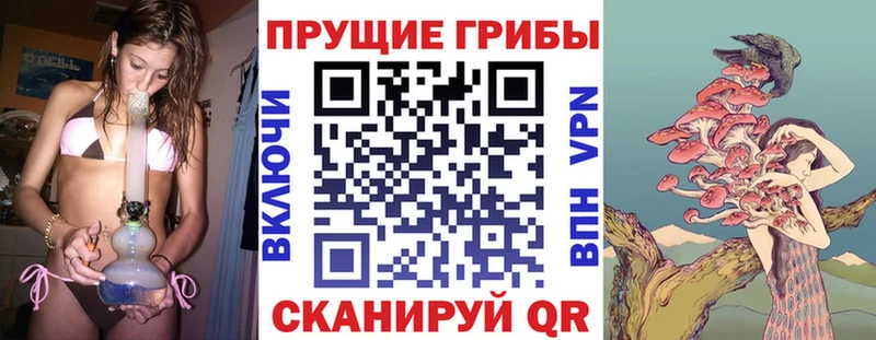 Псилоцибиновые грибы Psilocybe  Сарапул 