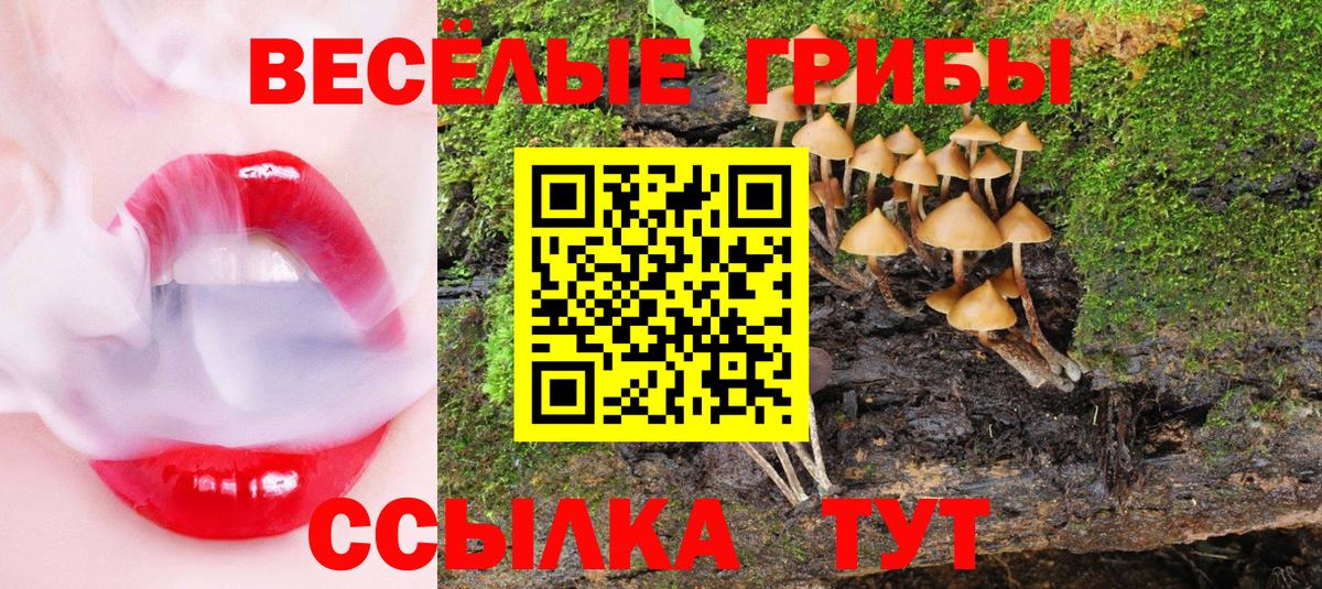 Галлюциногенные грибы Cubensis Сарапул