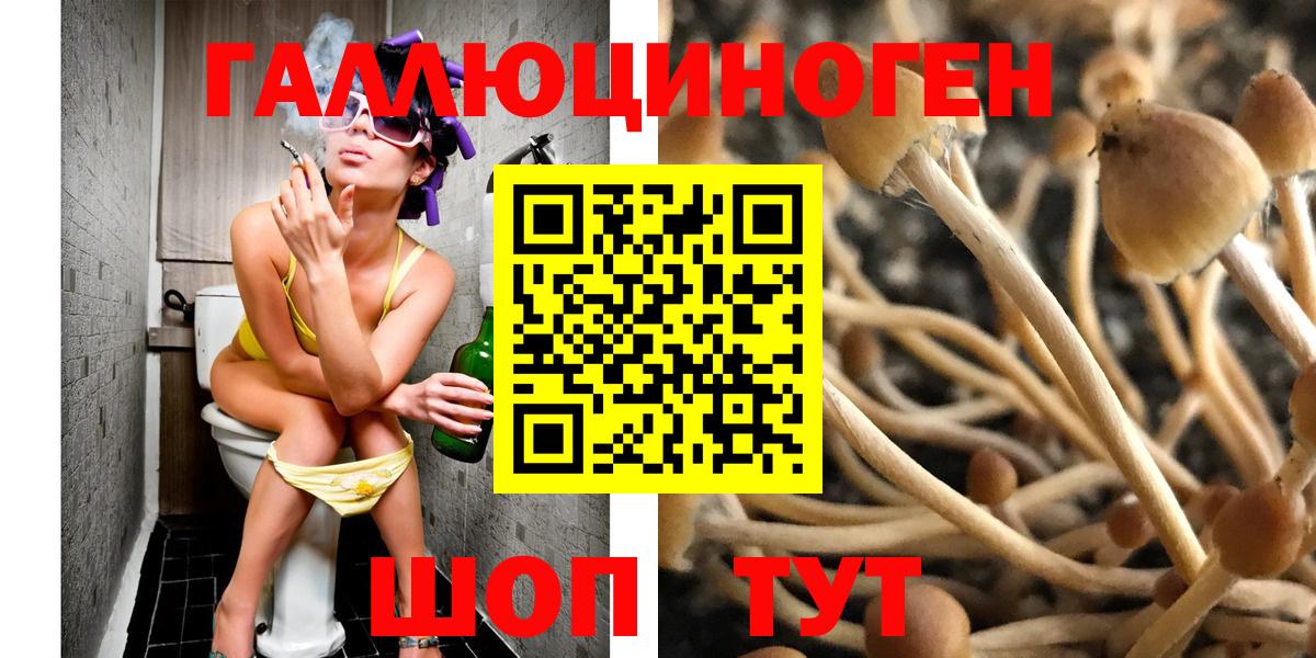 Сарапул  Псилоцибиновые грибы мицелий  Вход с VPN 