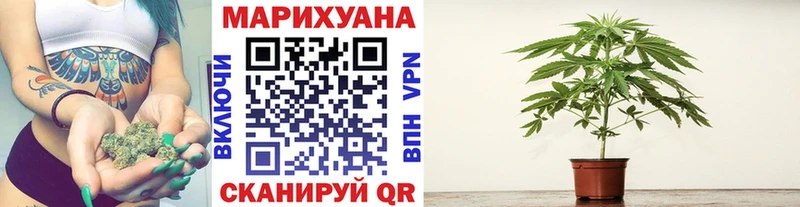 продажа наркотиков  Сарапул  Бошки Шишки конопля 